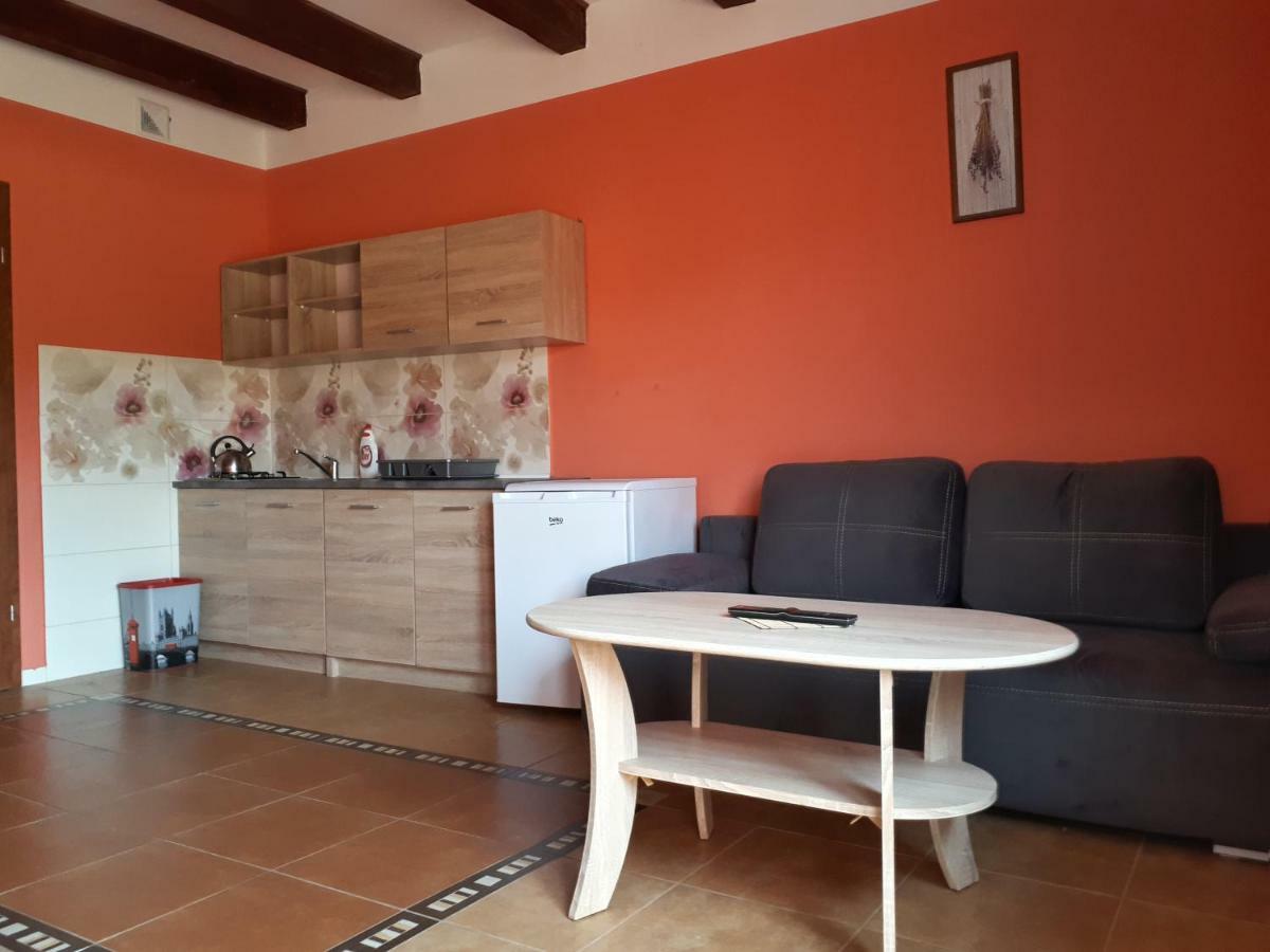 Apartamenty "Anusia" Ledzin Exterior foto